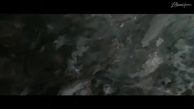 AH2020 Le 20 Heures on 08-Mar-25-14:32:32